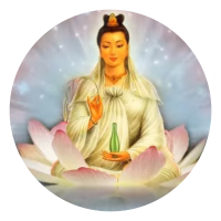 bptao8